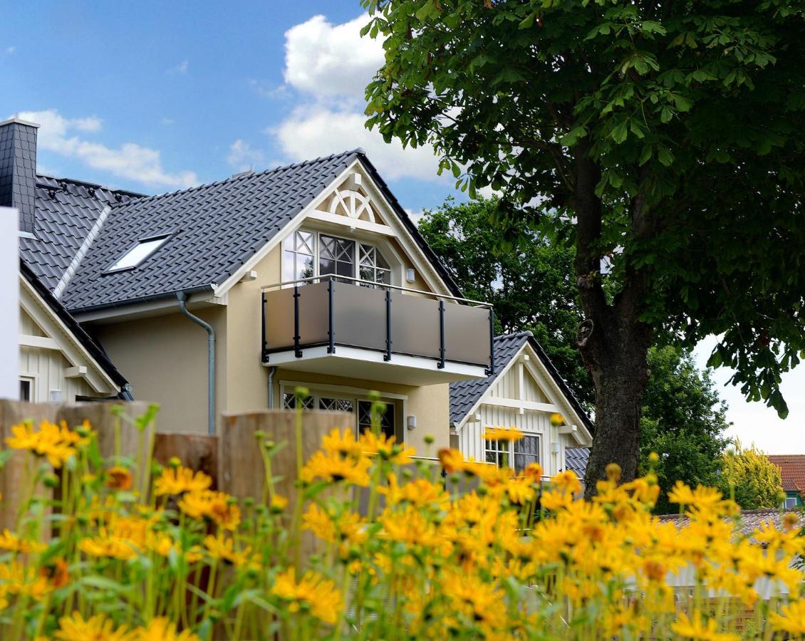 Neue Reihe 28 - Wohnung Vogelnest ツィングシュト エクステリア 写真